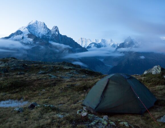 Flora & Fauna of Hampta Pass  Trek: A Nature Lover’s Paradise.